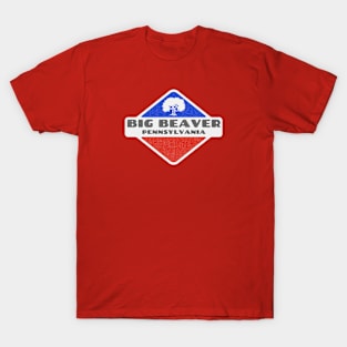 Big Beaver, PA - Foliage T-Shirt
